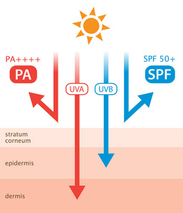 紫外线和防晒霜图