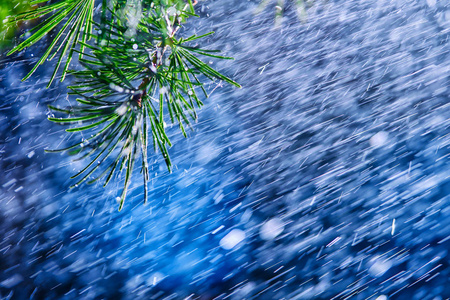 在春天或夏天的阳光下, 美妙的大雨阵雨享受轻松的自然.