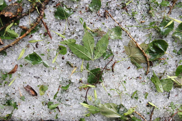冰雹在地面上作为背景