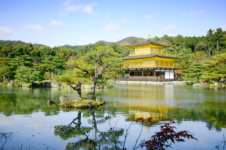 金阁寺 金阁 京都，日本