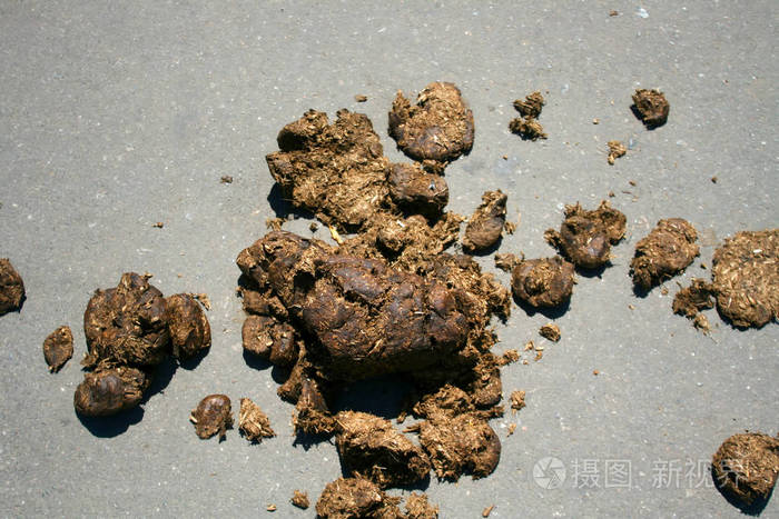 灰色沥青上的马粪