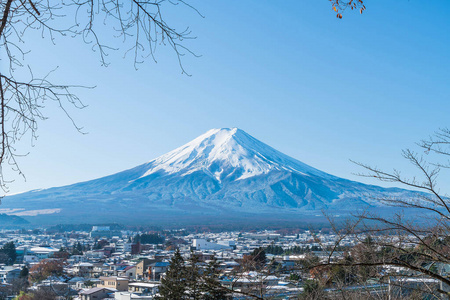 在河口湖山富士 San