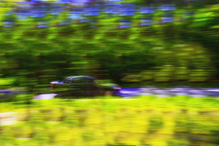 高速行驶在森林中的汽车图片