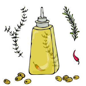 橄榄油瓶与草药 百里香 迷迭香 辣椒 胡椒和金属饮水机。孤立在白色背景上的矢量图。现实的手绘涂鸦风格素描
