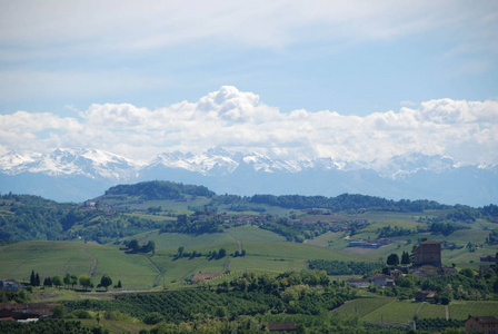 Langhe 的葡萄园, 皮埃蒙特意大利