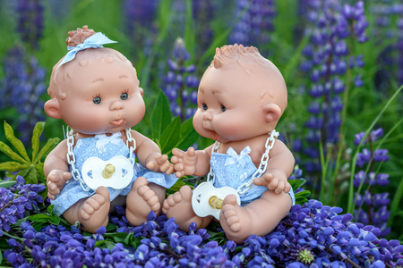 娃娃带着花园里的花照片