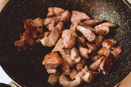 食品防蛀 肉 葱段 姜片的食谱炖豆肉煎在炉子上的一支钢笔。烹饪，准备食物的过程中的步骤。自制健康食品的概念