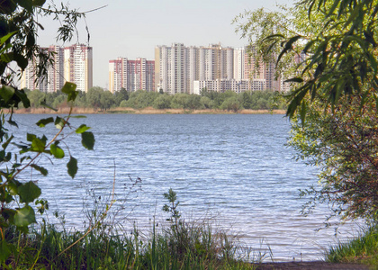 基辅市湖泊和野生动物的背景