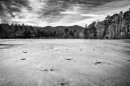 黑色和白色冬季景观的危险碎冰上冻湖坦在北卡罗莱纳州