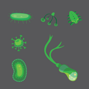 向量组的细菌和病毒平插图