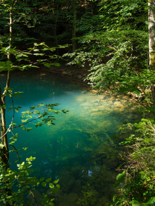 漂亮的池塘在树林中，Ochiul Beiului，Caras 塞弗兰县，罗马尼亚