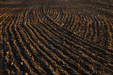 黑土犁过的田野.地球纹理照片