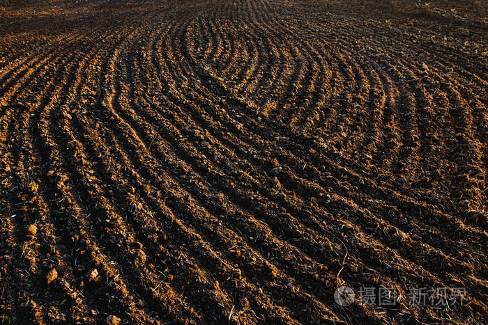 黑土犁过的田野.地球纹理