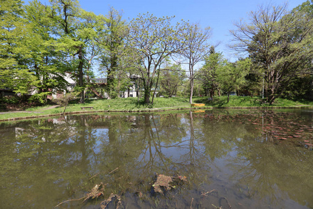 在日本的北海道大学 landsvape