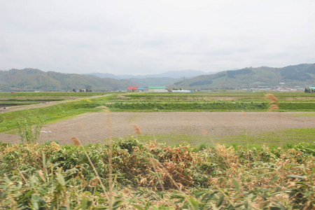 在日本的札幌线到旭川的视图