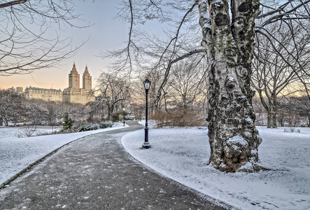 中央公园 纽约城的冬天