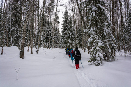 冬天森林里的一小群游客