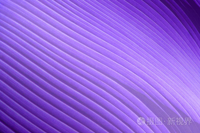 大 3008*2000px无水印下载免费10次/天下载小样发票合同问题/举报纹理