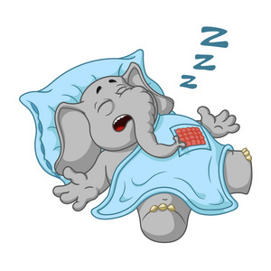 孤立大象的大集合.向量卡通照片