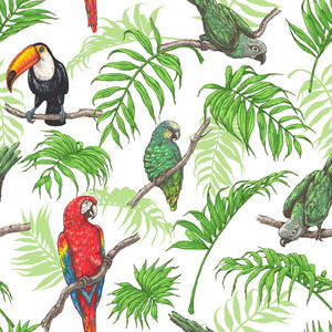 鹦鹉 巨嘴鸟和棕榈叶图案