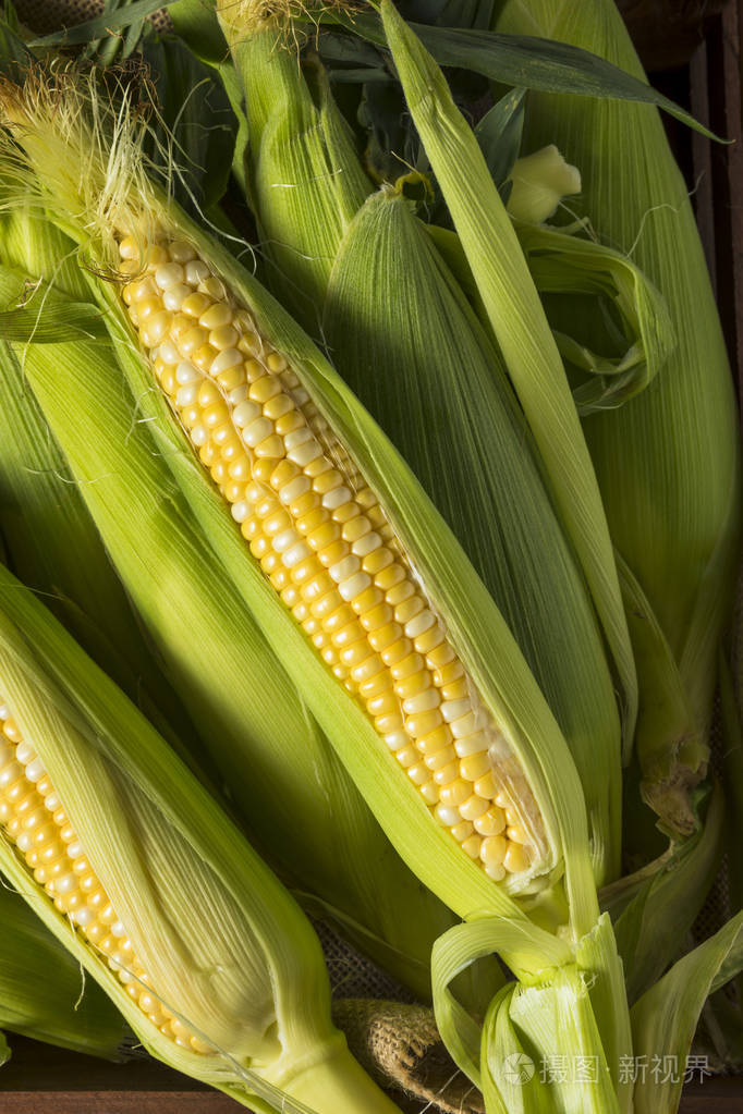 原料有机黄玉米棒