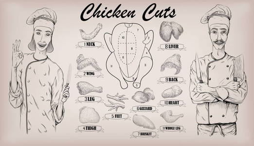 鸡肉肉胴体切割部分印章信息图形方案标志海报屠夫指南脖子胗女人和男人屠夫厨师肖像矢量特写水平美丽黑色线性它制作图案
