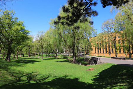 校园里的风景在日本北海道大学图片