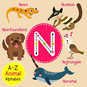 可爱的儿童动物园字母 N 字母追踪的有趣动物卡通孩子们学习英语词汇矢量图