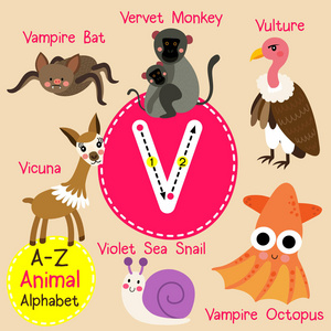 可爱的儿童动物园字母 V 信追踪的有趣动物卡通孩子们学习英语词汇矢量图