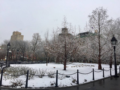 树木和建筑物与冬天的雪