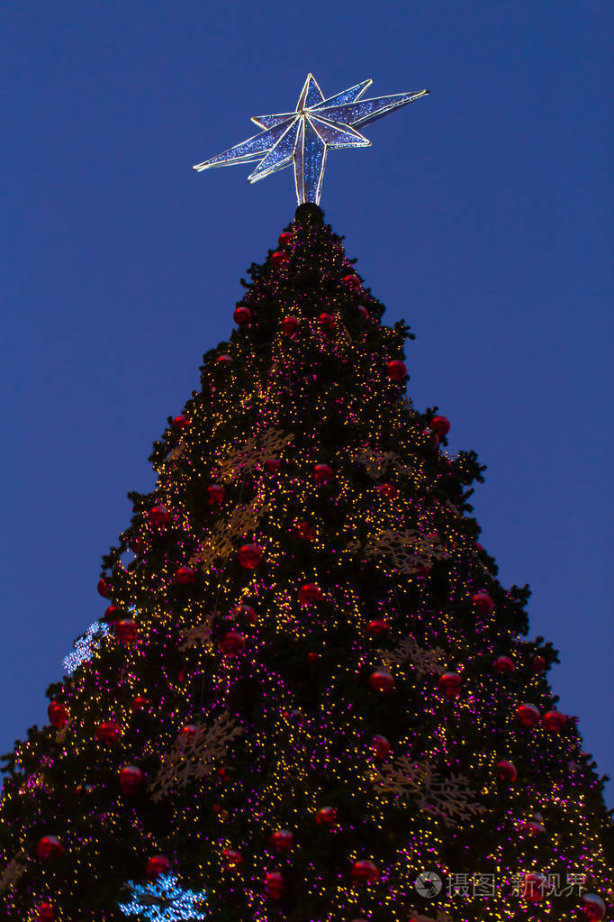 圣诞树上的白色星星在傍晚的顶端