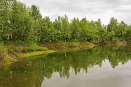 溢河在绿色森林自然背景