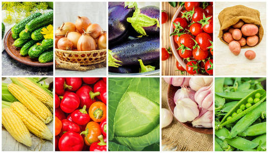 素食的食物奶奶菜园春季食品时令蔬菜和水果香草蔬菜园菜园大黄果酱