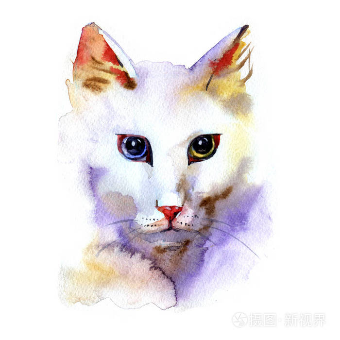安哥拉猫水彩人物画在白色背景上照片 正版商用图片0ysyok 摄图新视界 安哥拉猫水彩人物画在白色背景上照片 正版商用图片0ysyok 摄图新视界