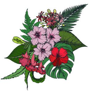 矢量组成的手绘热带花卉, 棕榈叶, 丛林植物照片