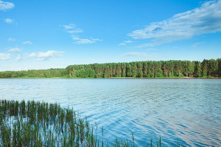 美丽的夏日风景。有绿色森林的湖泊和白云的蓝天。夏天的自然