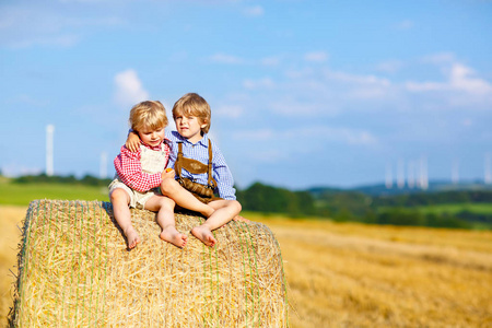 两个小家伙男孩 双胞胎和兄弟姐妹坐在干草堆上温暖的夏日