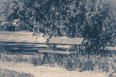 旧的复古照片。公园板凳阳光明媚的天夏天