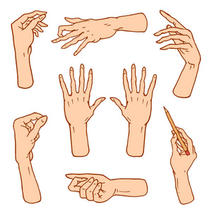 手势武器站 棕榈 竖起拇指 手指指针，好的喜欢和祈祷或握手，拳头和和平或岩石 n 卷。刻的手绘在旧的素描样式，复刻的情感和
