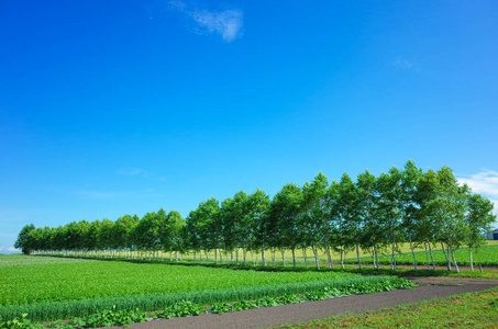 北海道风景摄影图 北海道风景图片大全 北海道风景照片 摄图新视界 北海道风景摄影图 北海道风景图片大全 北海道风景照片 摄图新视界