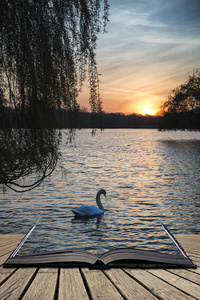 美丽充满活力的春天日出，在平静的湖水中英语计数