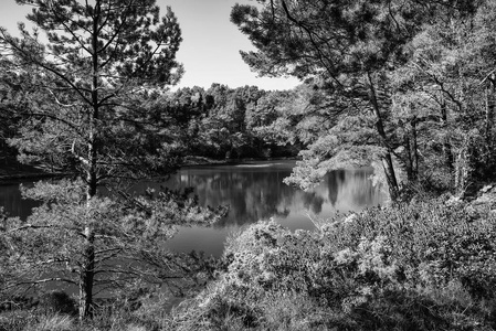 美丽的风景旧图像黑色粘土坑采石场湖