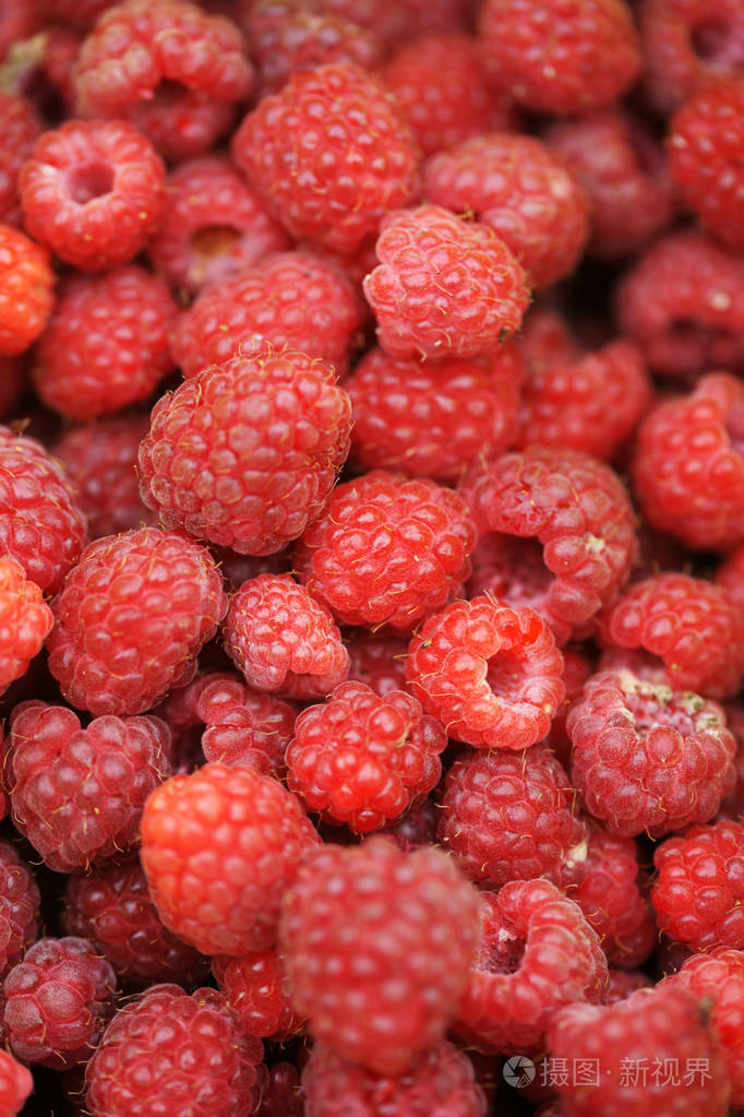 明亮的成熟红莓