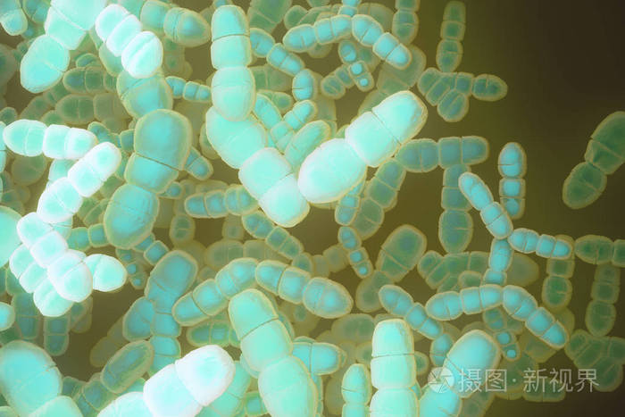 蓝细菌背景