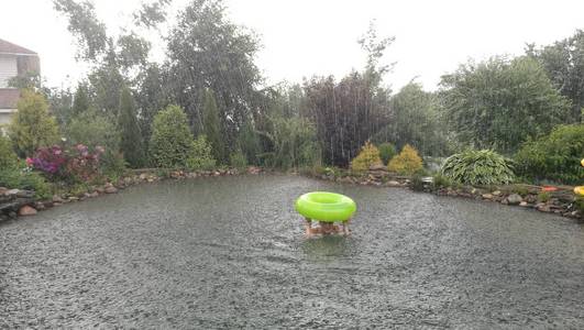 女孩在水中游泳在雨中