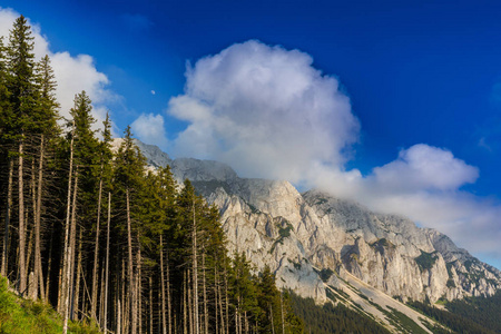 在夏天的薄雾云特兰西瓦尼亚阿尔卑斯山的自然风光