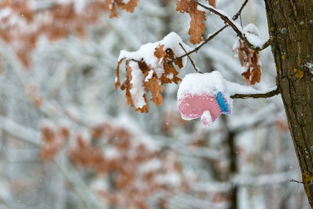 树木上的冬季霜冻