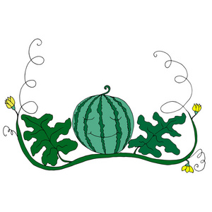 卡通西瓜的叶子和花朵白色背上孤立照片