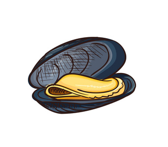 手的蛤蜊, 菜单, 豪华海食品饮食信息图表, 贴纸, 海报,模板的素描画