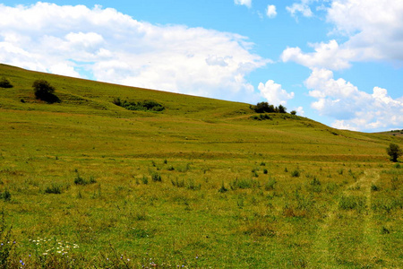 在特兰西瓦尼亚，罗马尼亚平原典型农村景观